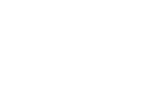 DMV Austria