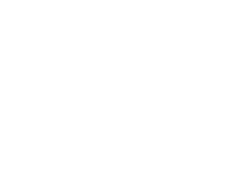 DMV Digital