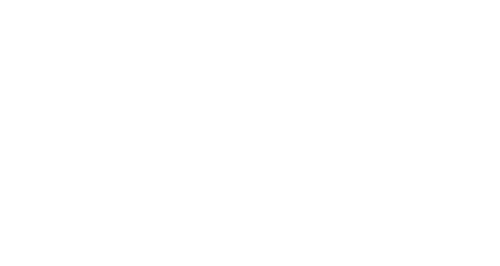 DMV Group