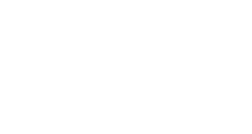 DMV Polska
